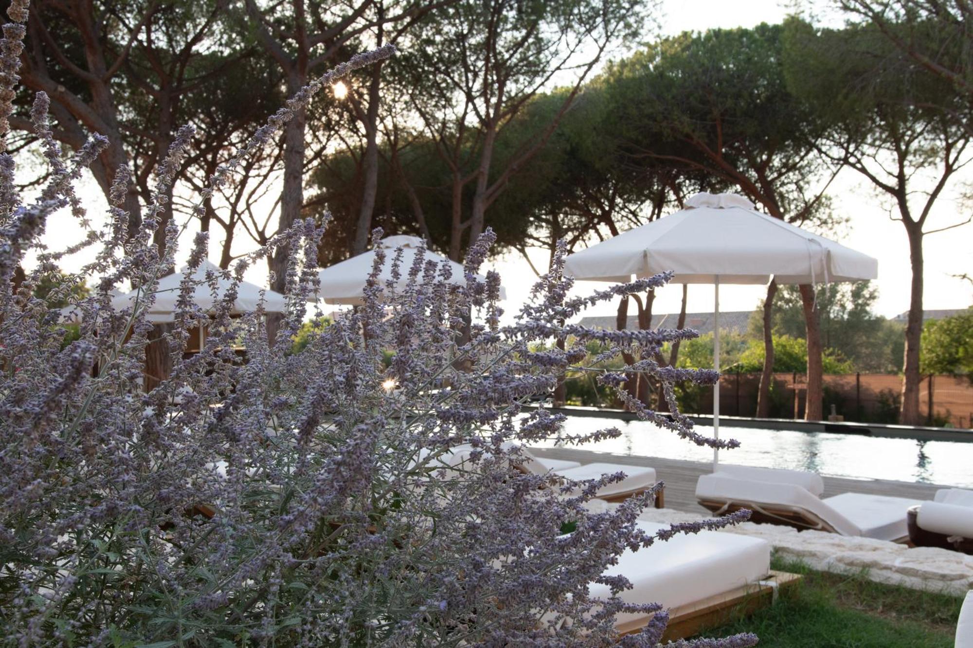 Boutique Hotel Responsable Et Restaurant Basgi Basgi Saint-Florent  Exterior photo